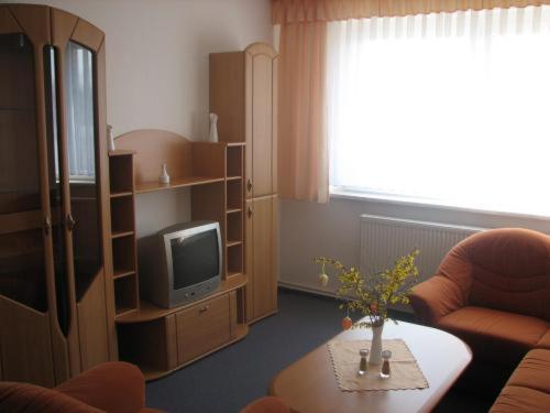 Apartmenthotel-Harz Friedrichsbrunn Buitenkant foto